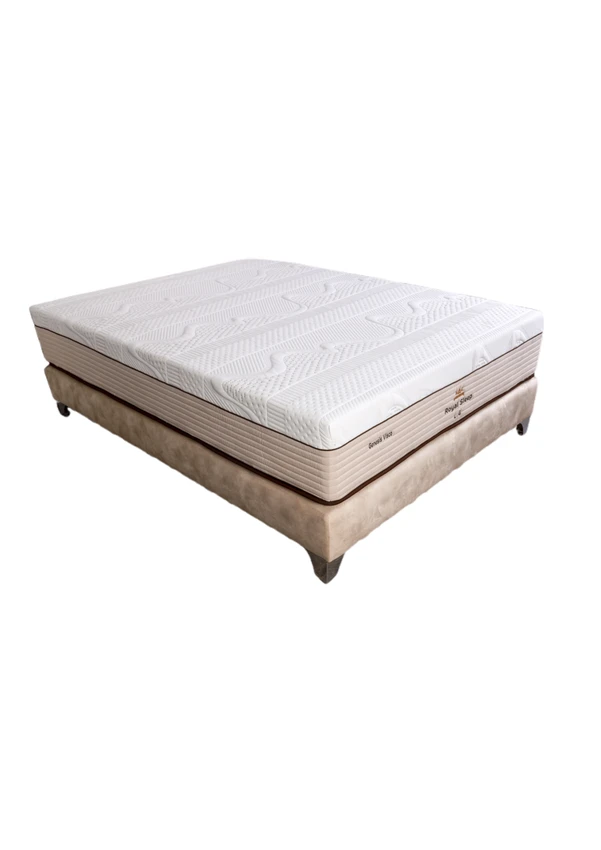 גנסיס ויסקו