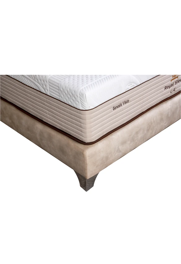 גנסיס ויסקו